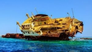 Tiran Island snorkeling from Sharm