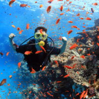 Shore Diving in Sharm el sheikh