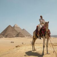 Tour di un giorno al Cairo da Sharm el Sheikh in autobus