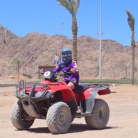 Safari in quad mattutino di 3 ore da Sharm el Sheikh