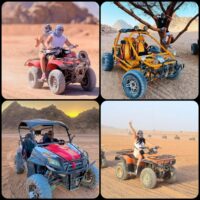 Mix Safari Buggy and Quad in Sharm el Sheikh