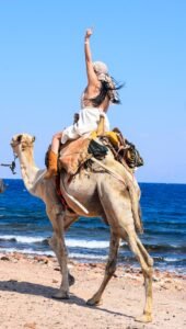 Dahab All in One tour from Sharm El Sheikh