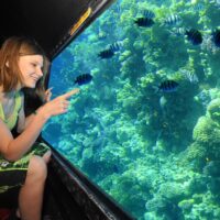 submarine in sharm el sheikh