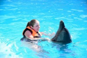Sharm El Sheikh dolphin swim⁠