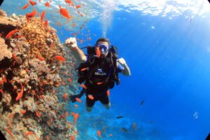 Ras Mohamed And White Island Sea Trip By Boat From Sharm El Sheikh ras mohamed and white island sea trip by boat