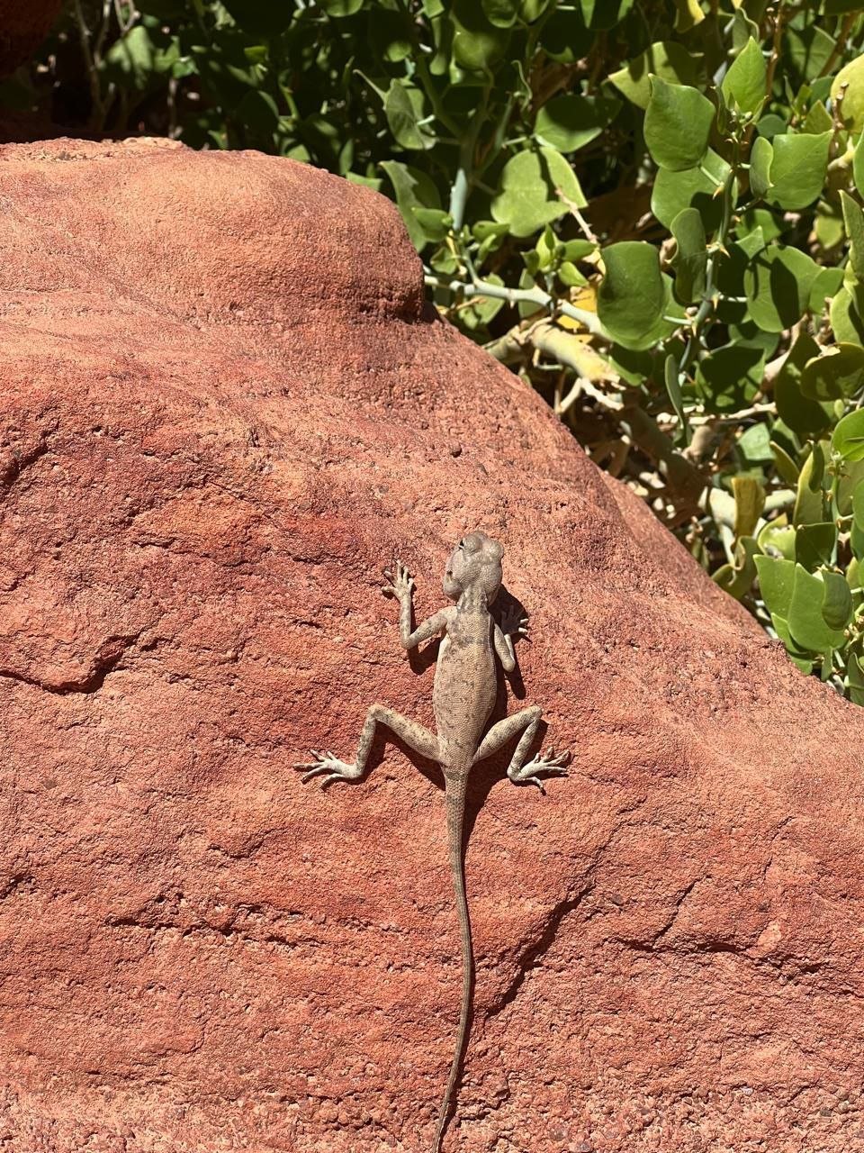 lost land & pharaoh’s island cruise, red and white canyons, safari trip lost land & pharaoh’s island cruise, red and white canyons, safari trip