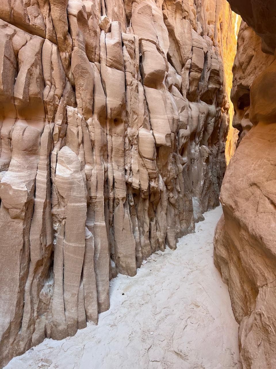 lost land & pharaoh’s island cruise, red and white canyons, safari trip lost land & pharaoh’s island cruise, red and white canyons, safari trip