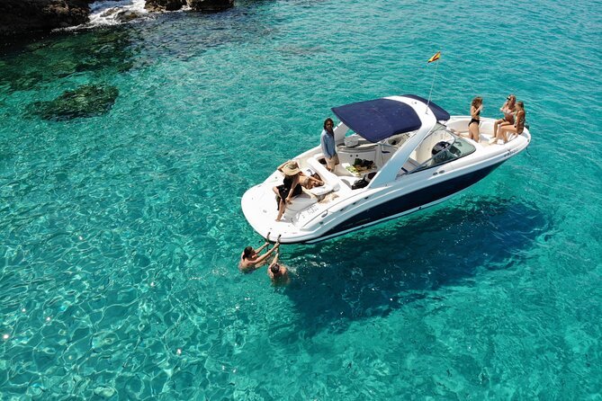 private speed boat snorkeling trip to tiran island 🚤🐠