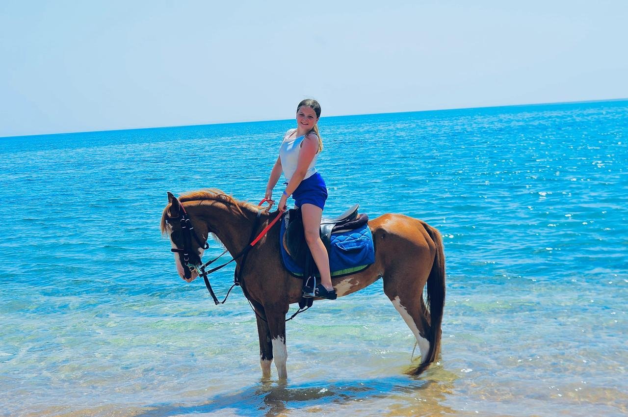 🐎 arabian horse riding experience on the red sea beach | sharm el sheikh 🌊✨ 🐎 arabian horse riding experience on the red sea beach | sharm el sheikh 🌊✨