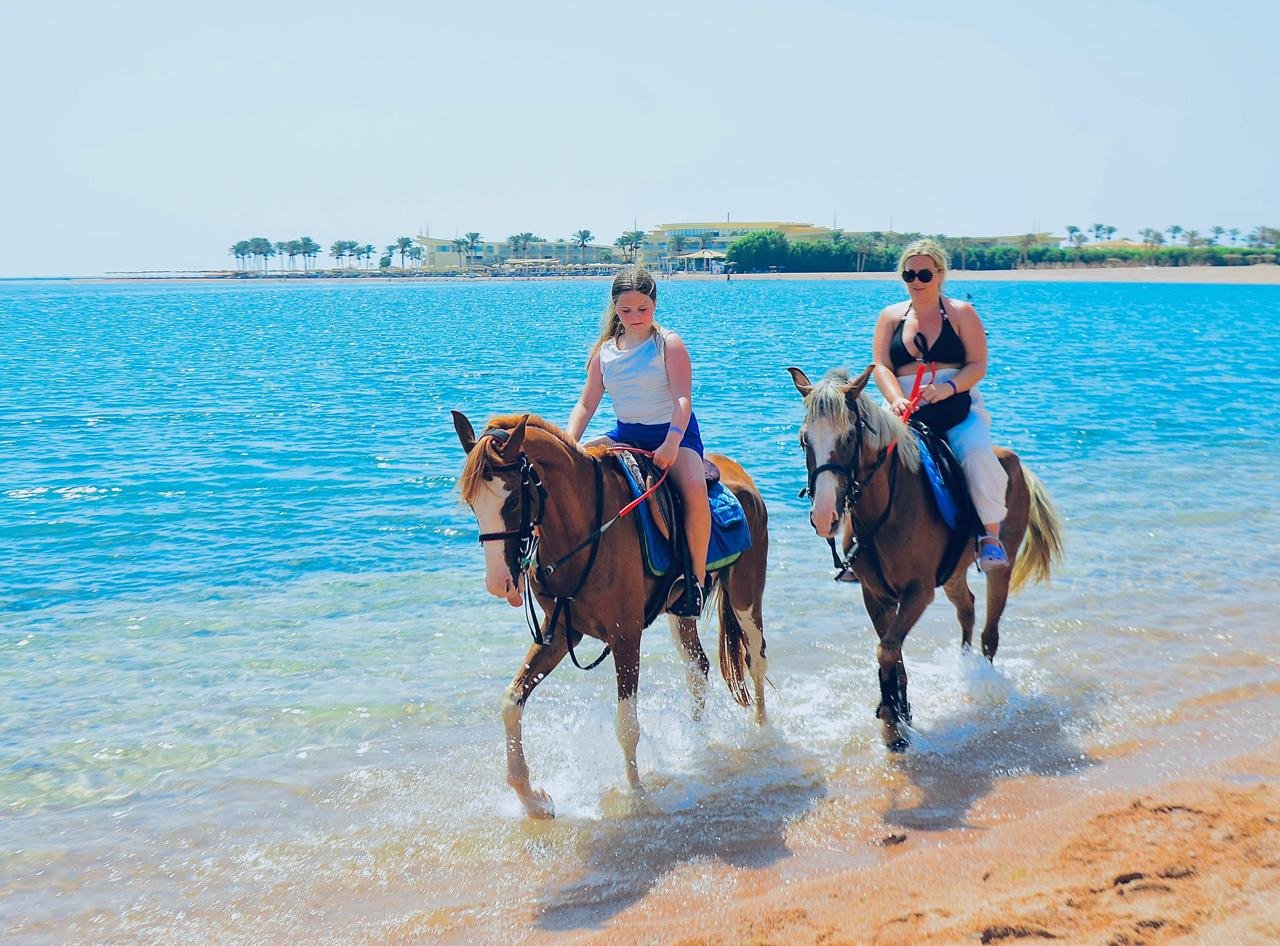 🐎 arabian horse riding experience on the red sea beach | sharm el sheikh 🌊✨ 🐎 arabian horse riding experience on the red sea beach | sharm el sheikh 🌊✨
