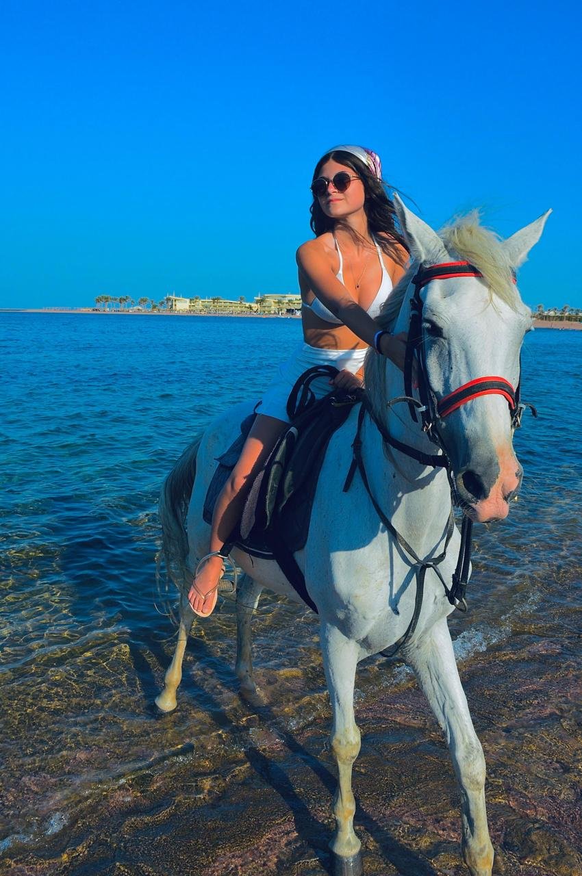 🐎 arabian horse riding experience on the red sea beach | sharm el sheikh 🌊✨ 🐎 arabian horse riding experience on the red sea beach | sharm el sheikh 🌊✨