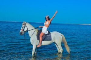 🐎 Arabian Horse Riding Experience on the Red Sea Beach | Sharm El Sheikh 🌊✨ Horse Riding in Sharm El sheikh