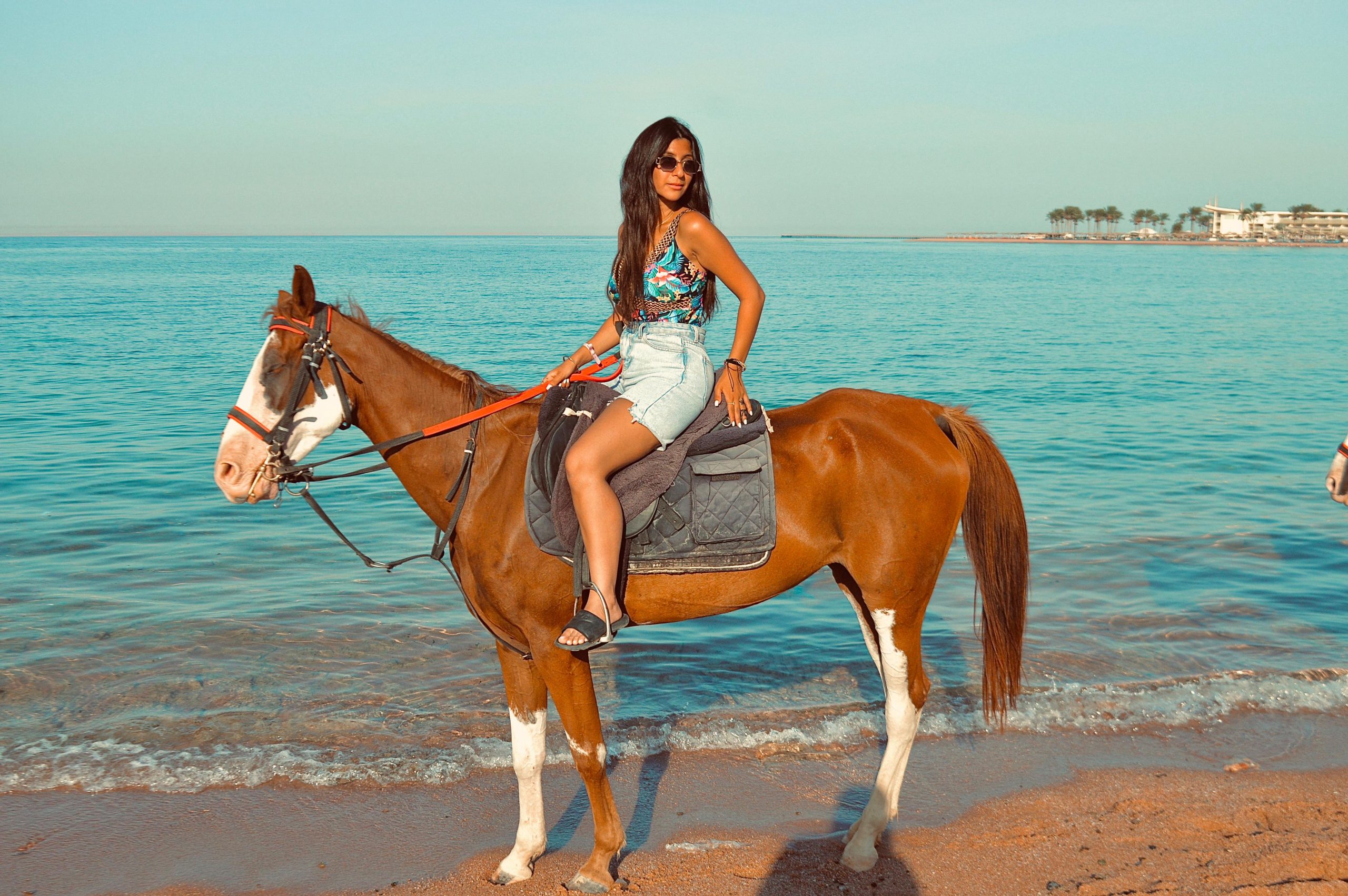Horse Riding in Sharm El Sheikh - Photo 4