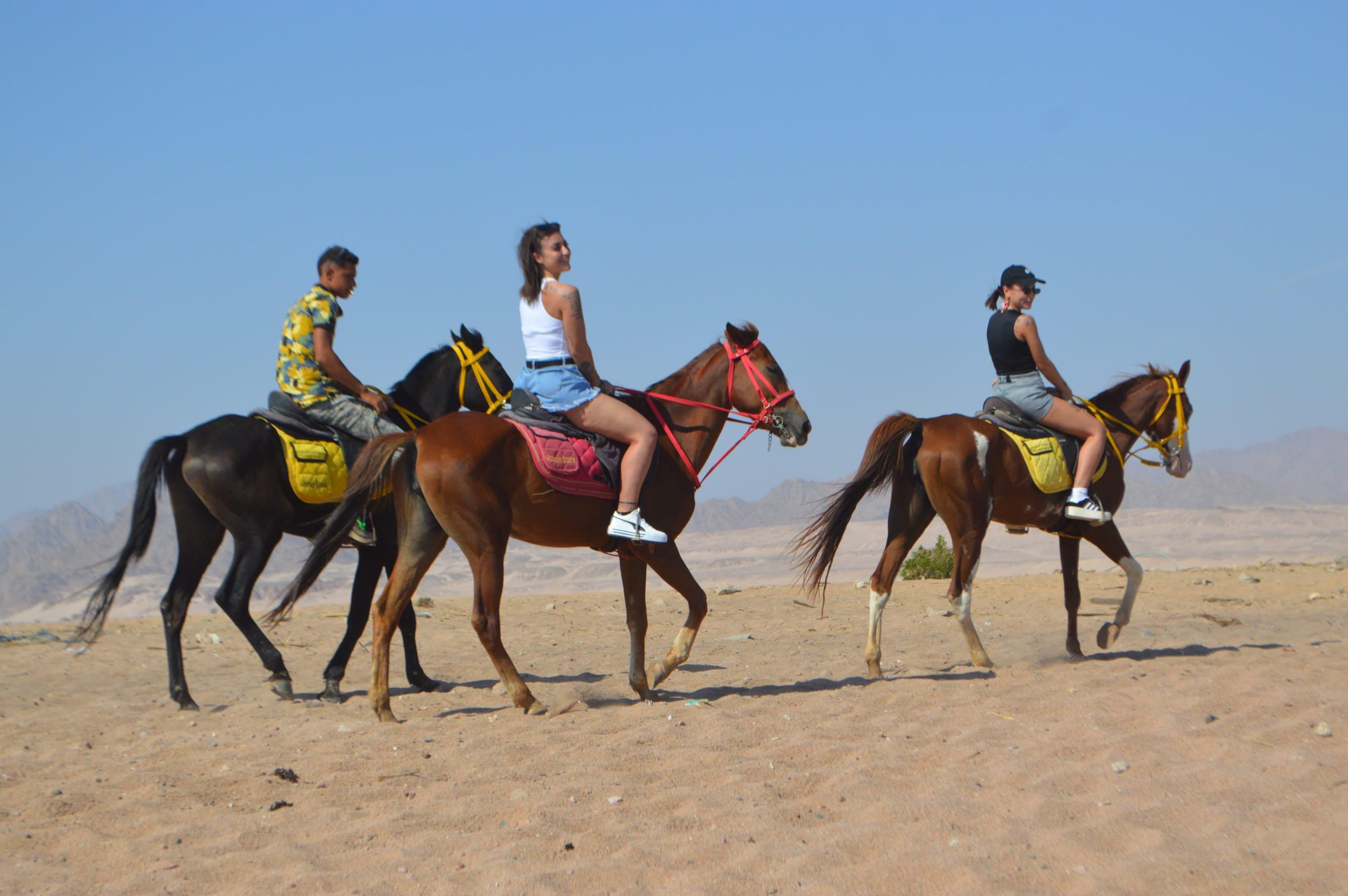 Horse Riding in Sharm El Sheikh - Photo 2
