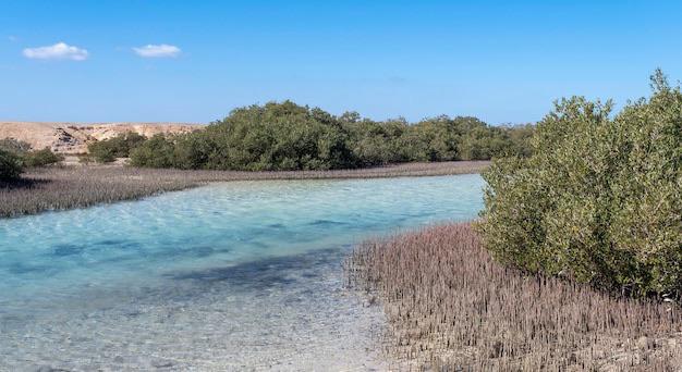 Ras Mohammed National Park Bus Tour from Sharm El Sheikh - Photo 2