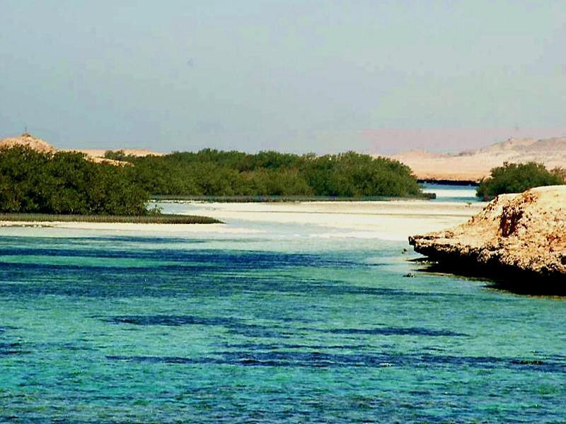 Ras Mohammed National Park Bus Tour from Sharm El Sheikh - Photo 3
