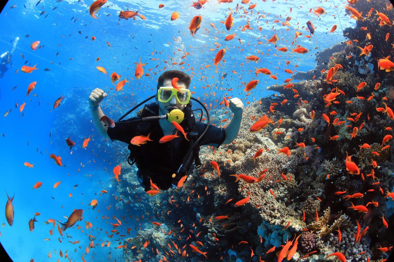 Sharm El Sheikh Water Sports & Sea Activities - Photo 4