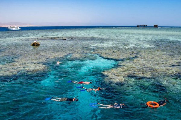 Tiran Island Boat Trip from Sharm El Sheikh